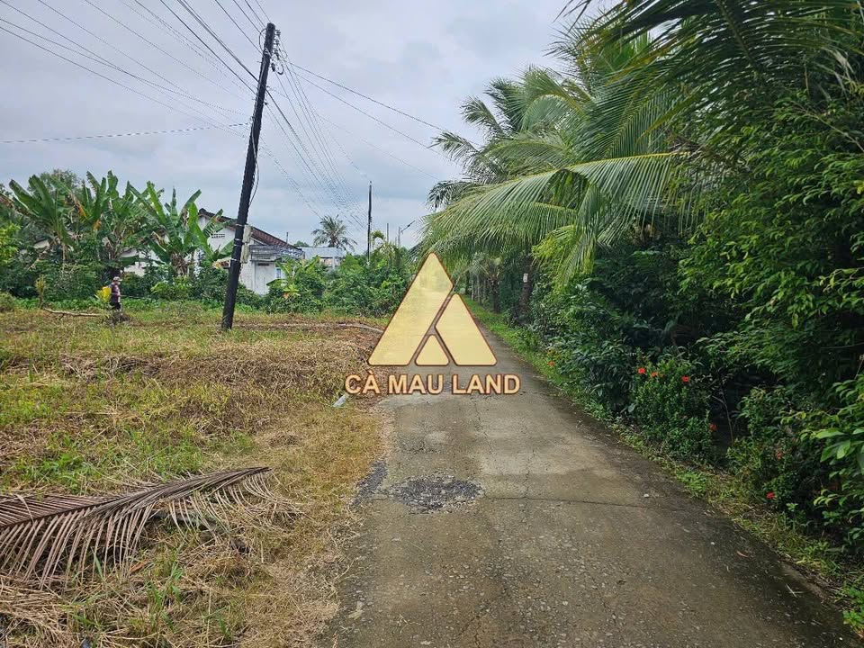 Đất Vườn Mặt Tiền Kênh Huế, Cà Mau - 1296m² Giá Tốt Đầu Tư