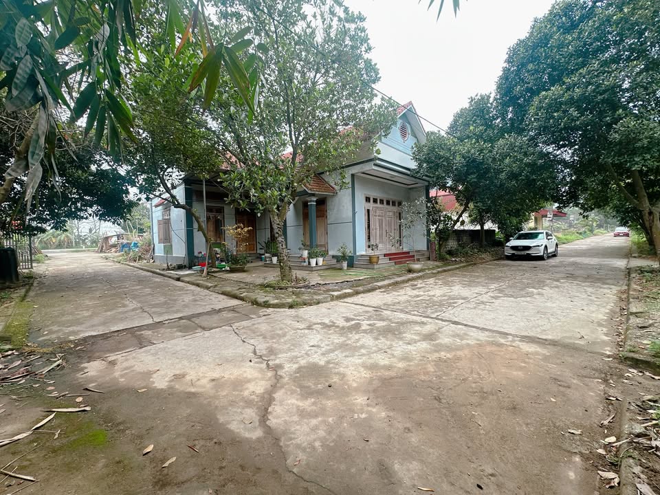 Đất nền Việt Trì 163m² - Đất thổ cư 100%!