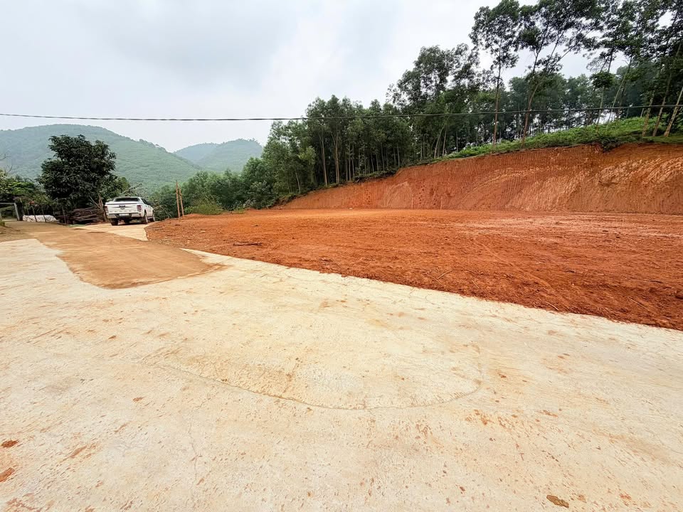 Lô Đất Đan Thượng, Phú Thọ 1000m² – Thổ Cư 100%, Tiềm Năng Tăng Giá!