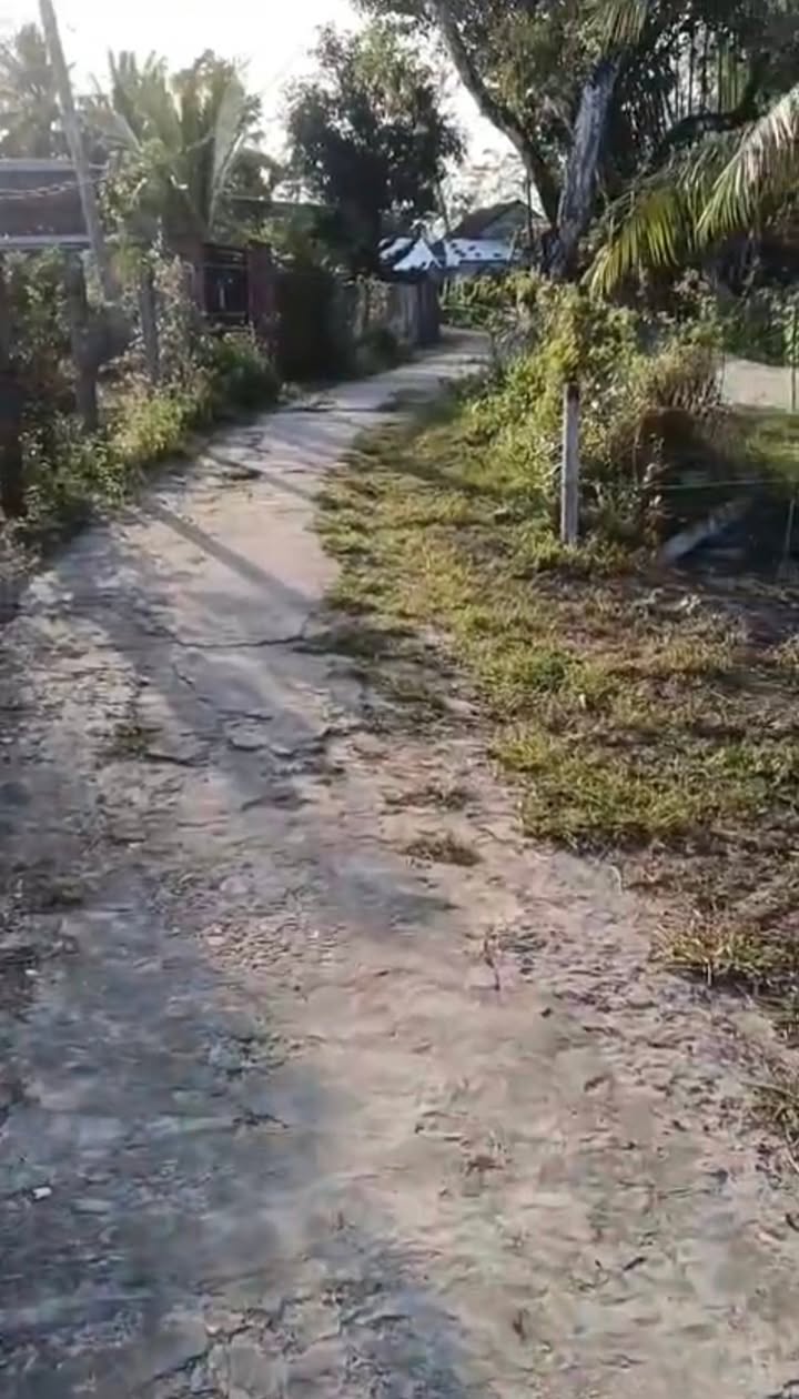 Đất Nền Thăng Bình 1000m² - Giá 1.5 Tỷ - Sổ Đỏ Thổ Cư 300m²