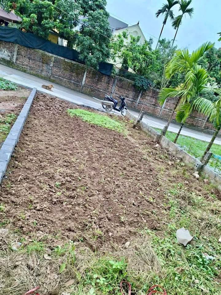 Đất nền Phường Hồng Châu, Hưng Yên 60.9m² - Sổ đỏ chính chủ!