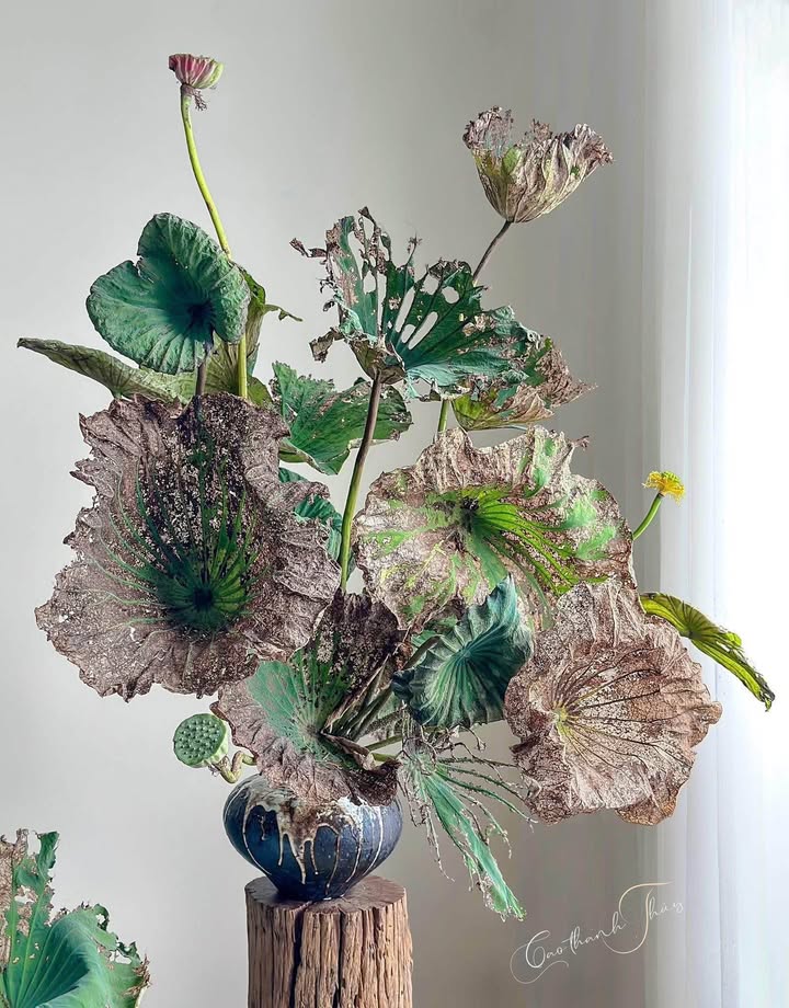 Đất nền Tân An, TP Ninh Bình 200m² - Tiềm năng tăng giá