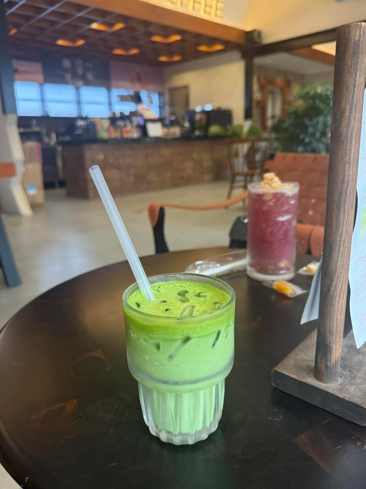 Đất Nền Phú Thọ 145m² Sổ Đỏ - Đầu Tư Sinh Lời F0