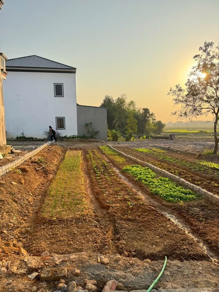 Đất nền Xuân Cẩm, Hiệp Hòa 100m² - Tiềm năng tăng giá vượt trội!