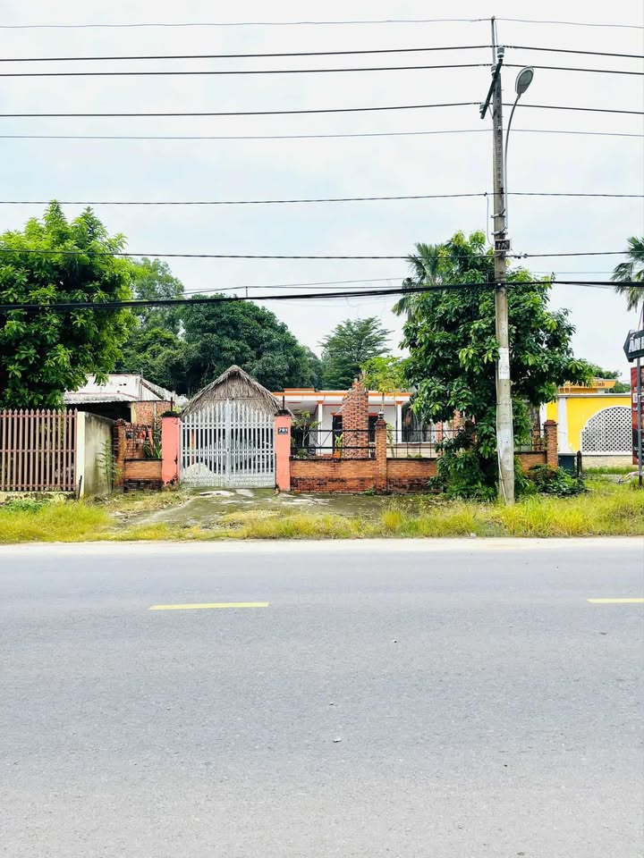 Đất nền Củ Chi 1341m² - Đường lớn ô tô, pháp lý rõ ràng!