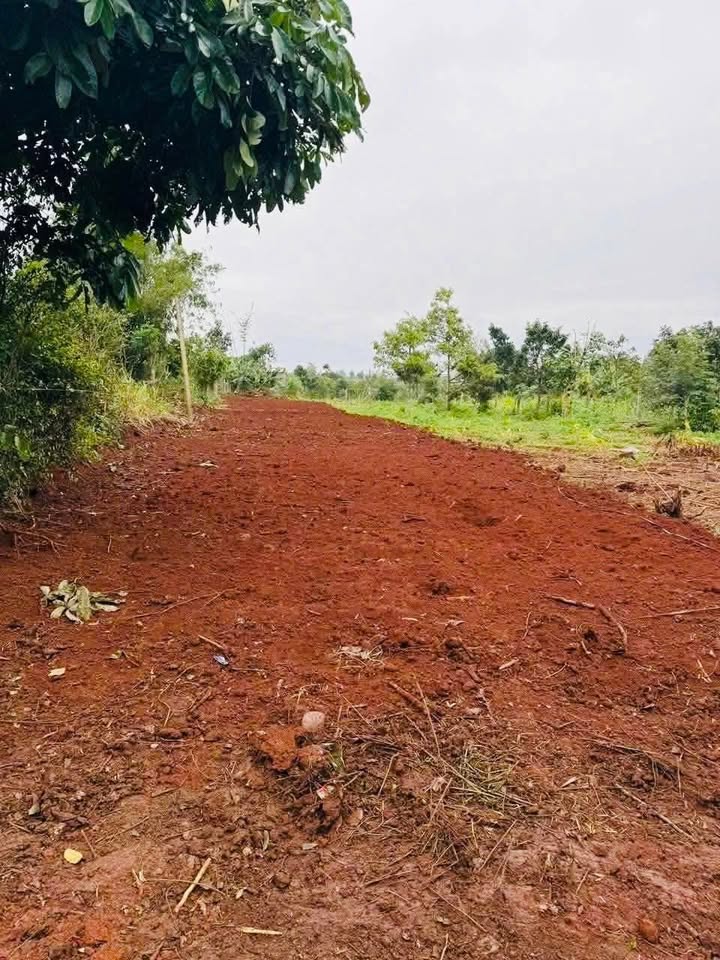 Đất nền EaDrông (Buôn Hồ) Đắk Lắk - Ngay ngã 3 Amalinh, 348m², 630 triệu