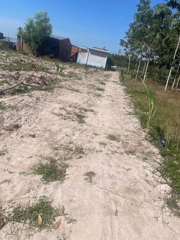 Đất nền Phường Ninh Sơn, Tây Ninh 528m² - Giá tốt hiếm có!