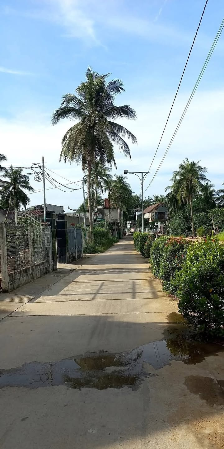 Đất nền Hoài Nhơn 108m² giá 700 triệu - Tiềm năng tăng giá vượt trội!