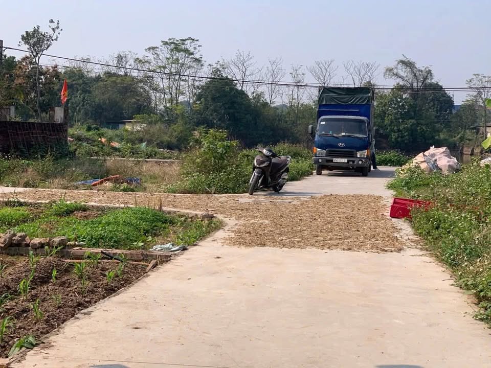 Đất nền Song Liễu, Bắc Ninh 80m² - Tiềm năng tăng giá vượt trội!