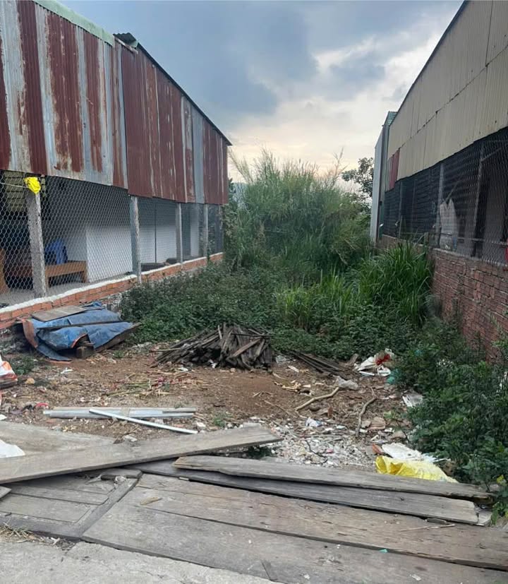 Đất Nền Đức Trọng 155m² Sổ Hồng Thổ Cư - Giá 1.75 Tỷ