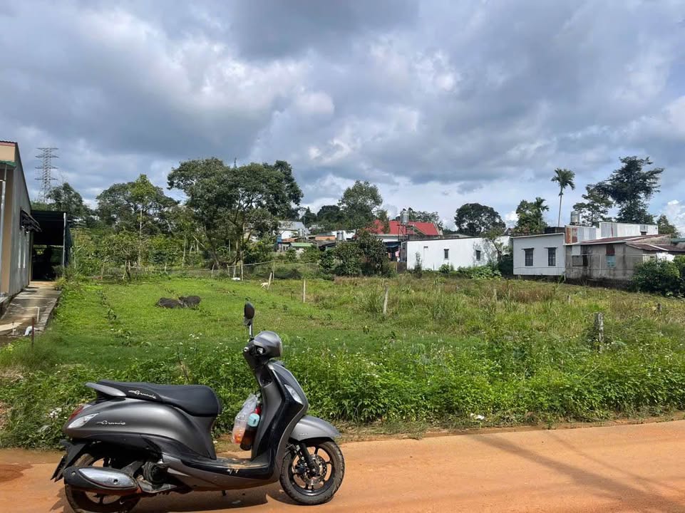 Đất nền Bảo Lộc 429.7m² 3.5 tỷ - Tiềm năng tăng giá vượt trội!