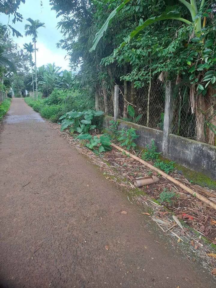 Đất nền 150m² Phường Tân An, Buôn Ma Thuột - Tiềm năng tăng giá vượt trội!