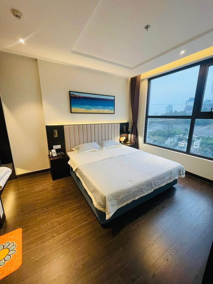 Căn hộ Sapphire S2 Hạ Long 50m² 2.55 tỷ - View phố, bàn giao ngay