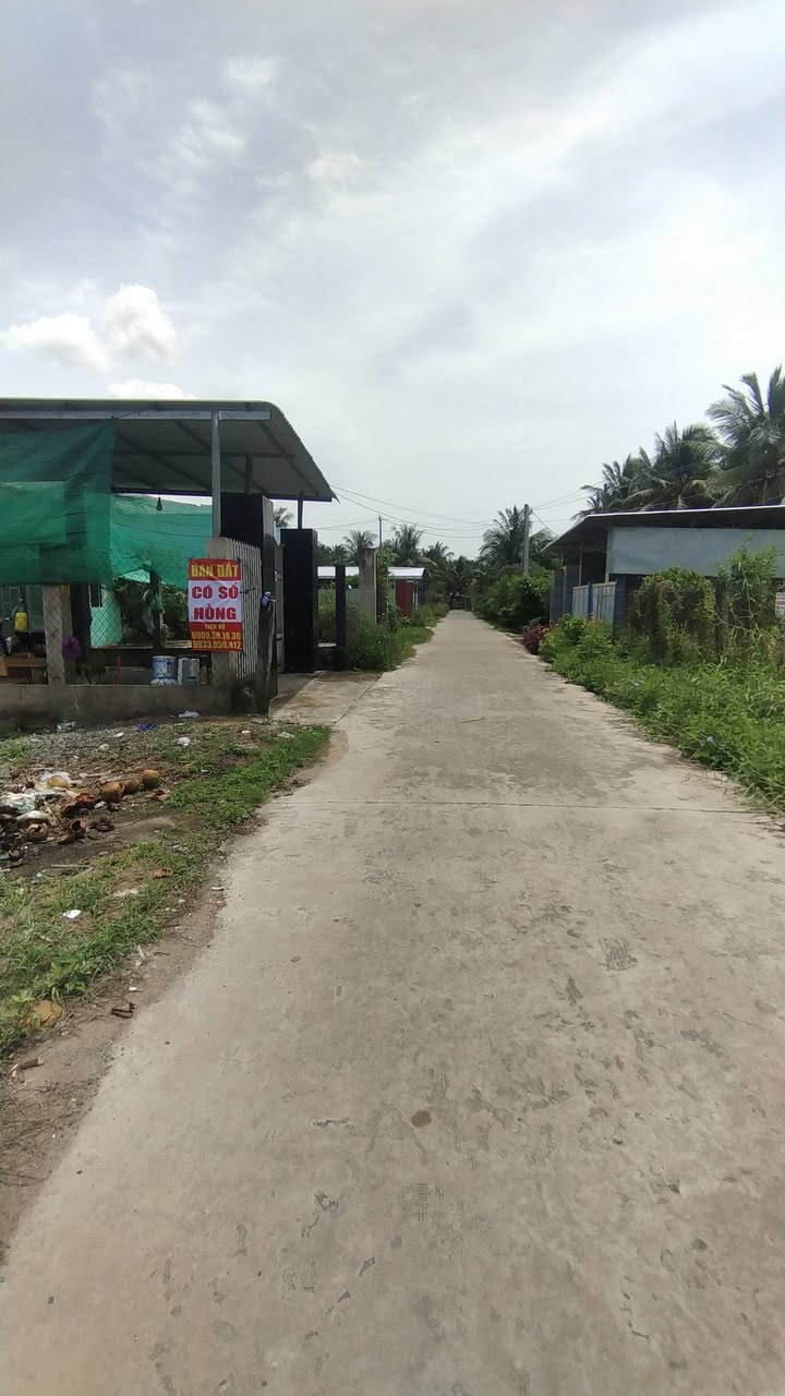 Đất nền Chợ Gạo Tiền Giang 320m² - Sổ hồng chính chủ!