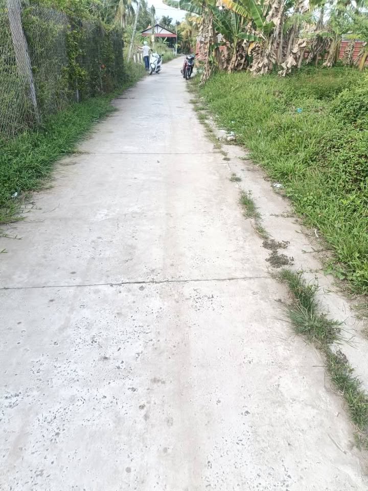 Đất Nền Mặt Tiền Lộ Đan 480m² Tại Châu Thành, Bến Tre - Giá 1.2 Tỷ