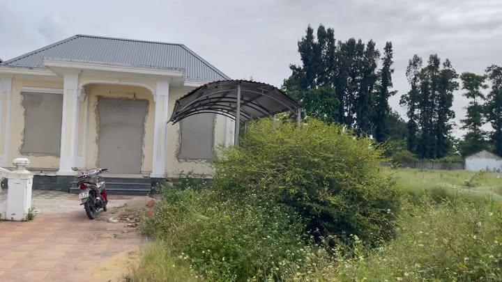 Farm 14000m² Quảng Lộc, Thanh Hóa - 20 Tỷ, Tiềm Năng Vượt Trội