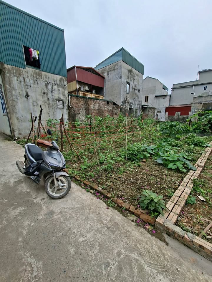 Đất nền Bình Ngô, Thuận Thành 95m² chỉ từ 3 tỷ - Tiềm năng tăng giá!