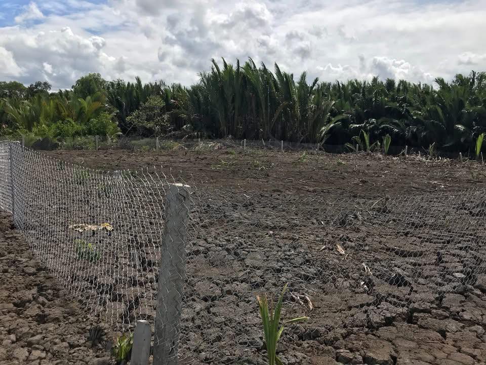 Đất cho thuê 700m² Hiệp Phước, Nhà Bè - Xây dựng tự do!