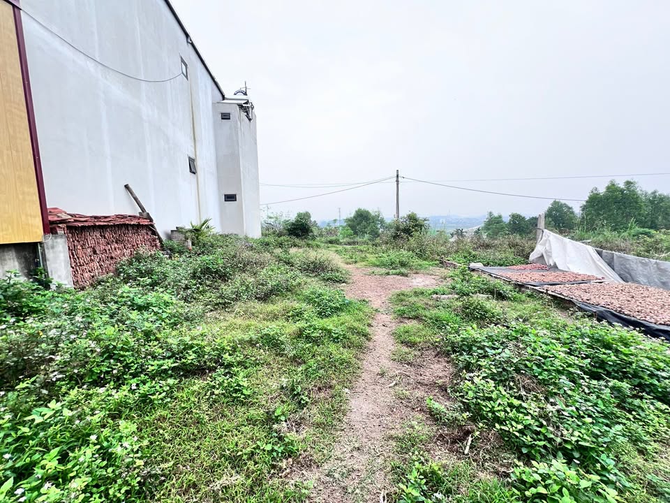 Đất Nền Lạng Giang 190m² - Hơn 800 Triệu, Sổ Đỏ Rõ Ràng