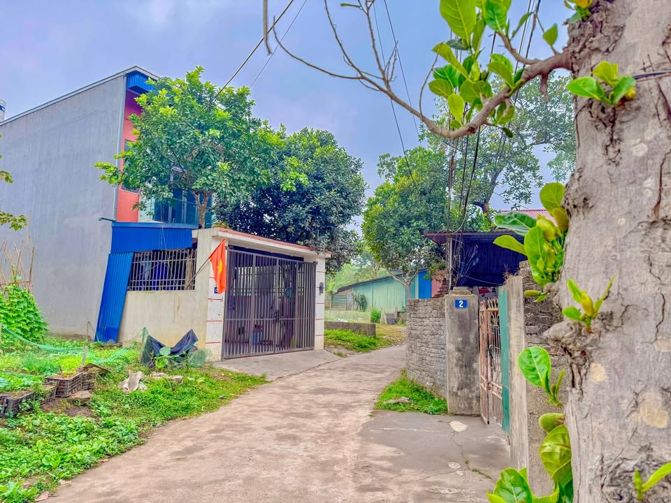 Đất Nền Võ Nhai 83.8m² - Sổ Đỏ Rẻ Nhất Dãy, Xây Ngay!