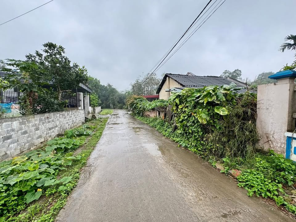 Đất nền Đại Từ 700m² - Mặt tiền 10m vuông vắn, bám trục chính