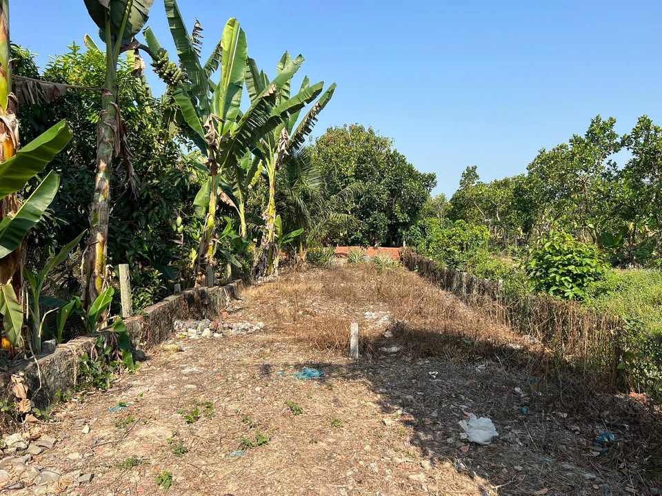 Đất nền Mỹ Hiệp Đồng Tháp 240m² 800 triệu - Sổ đỏ chính chủ