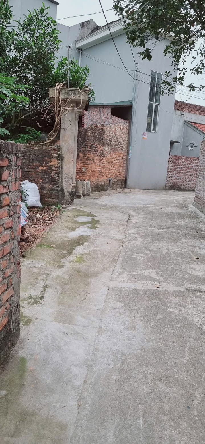 Bán Đất Nền Phường Dữu Lâu, Việt Trì 106.5m² - Sổ Đỏ Vuông Vắn