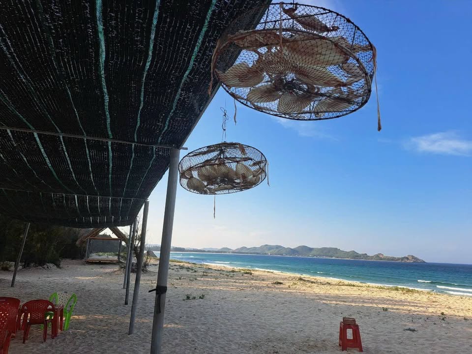 Đất Nền Biển Phú Dương 445m² - Sổ Đỏ Thổ Cư, Sẵn Sàng Xây Nhà Vườn