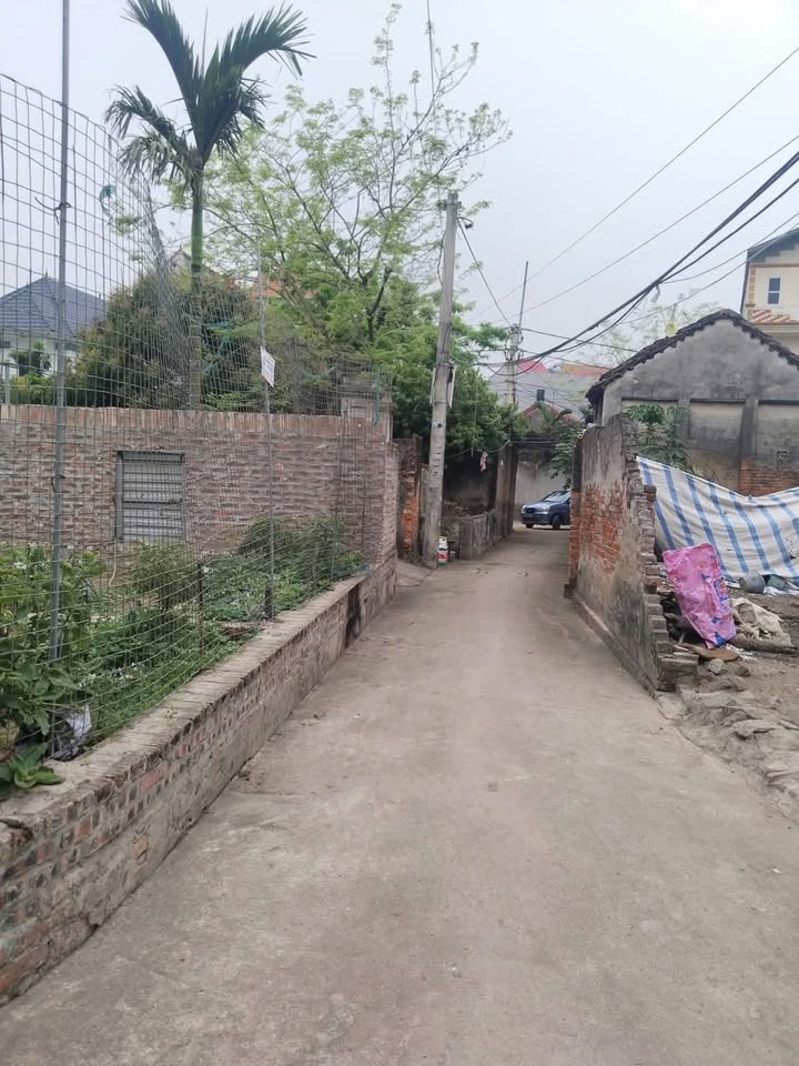 Đất nền Mỹ Hưng 42m² - Sổ đỏ chính chủ, tiềm năng tăng giá