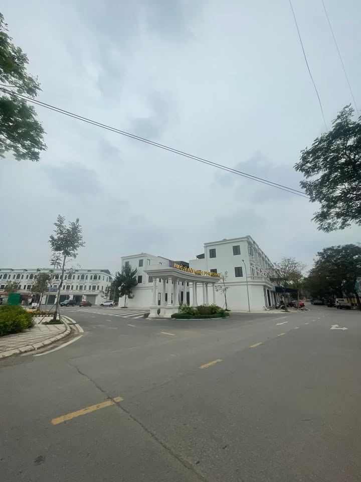 Bán Gấp 2 Lô Liền Kề Ngõ 92, TP Việt Trì - Kinh Doanh Sầm Uất, 162m²