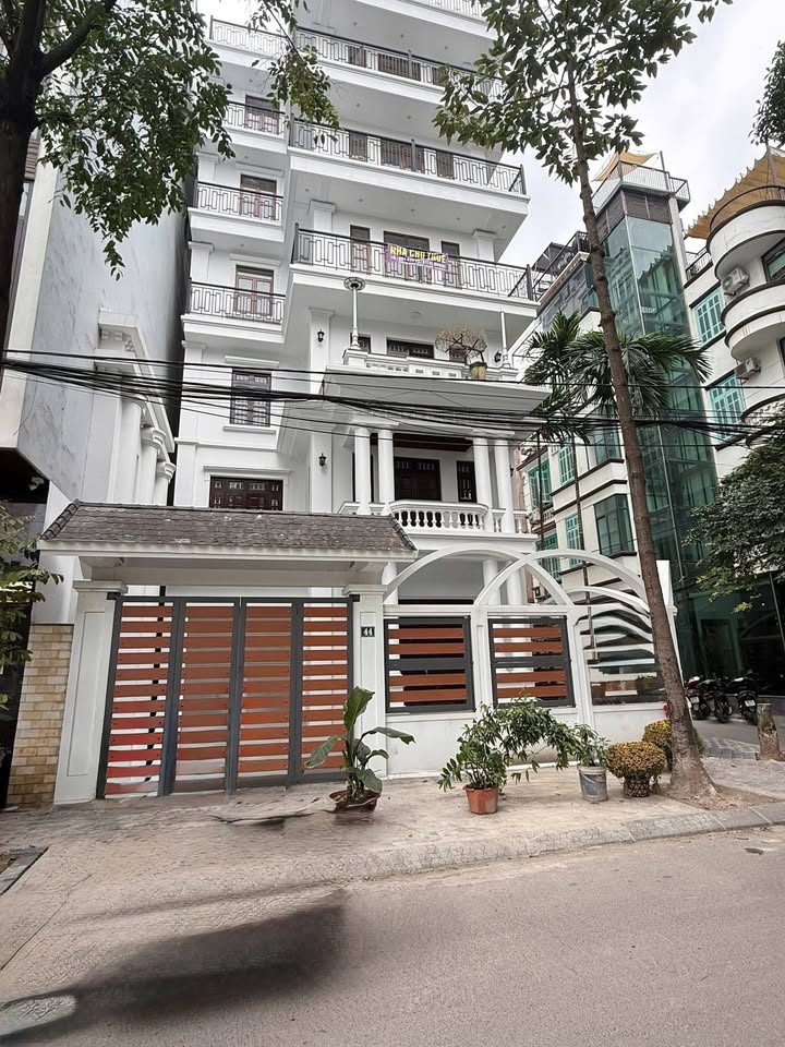 Nhà Mặt Tiền Giải Phóng, 240m² x 6 Tầng - Kinh Doanh Đa Ngành