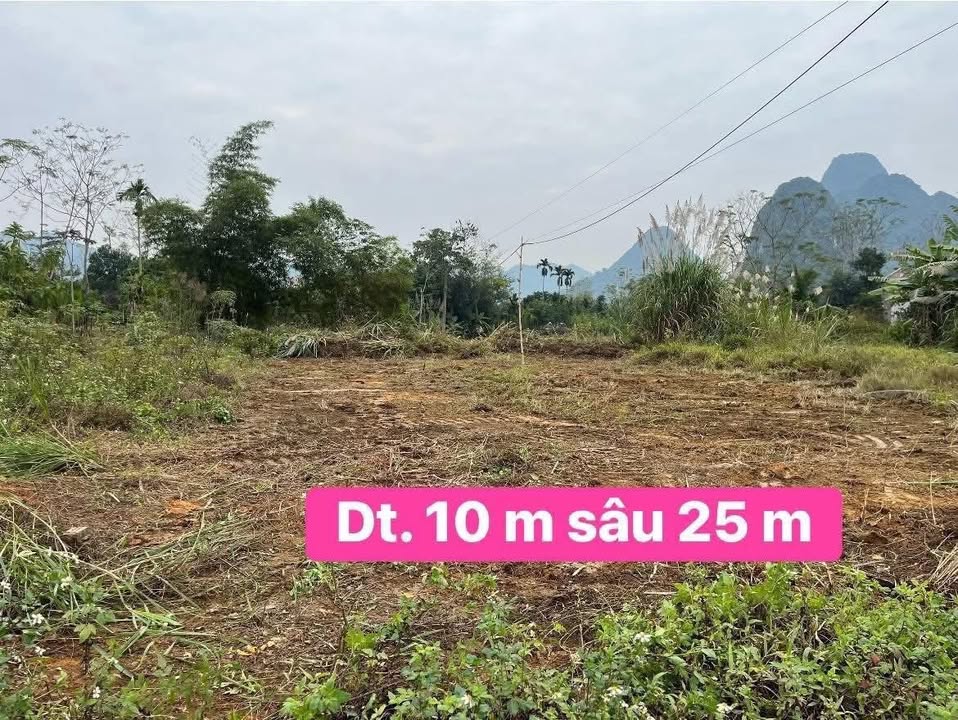 Đất mặt đường 250m² Lục Yên - Kinh doanh sầm uất, giá nhỉnh 900 triệu