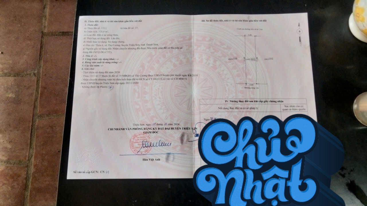 Đất Nền Triệu Sơn 125m² - Sổ Đỏ Rõ Ràng, Mặt Tiền Liên Huyện