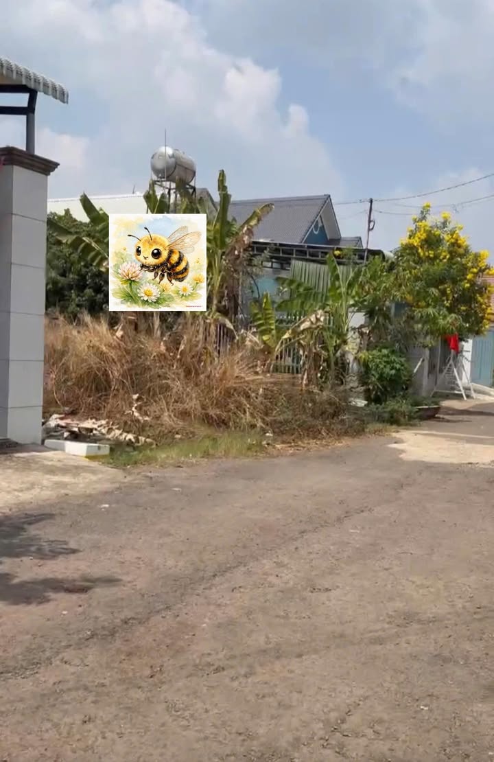 Đất nền Đường 5B3 Đồng Xoài 120m² - Sổ đỏ chính chủ!