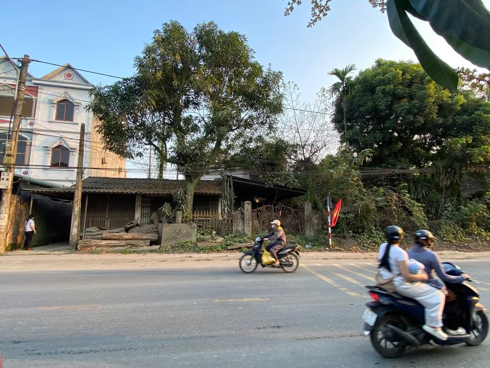 Đất Nền Mặt Tiền TL151 Bảo Thắng, Lào Cai - 600m² Thổ Cư, Giá 3.2 Tỷ