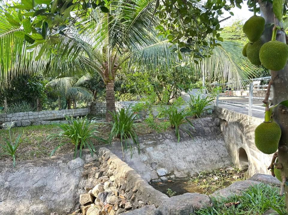 Bán đất vườn nghỉ dưỡng 3000m² Nha Trang - Lô góc 2 mặt tiền, có nhà vườn & ao cá