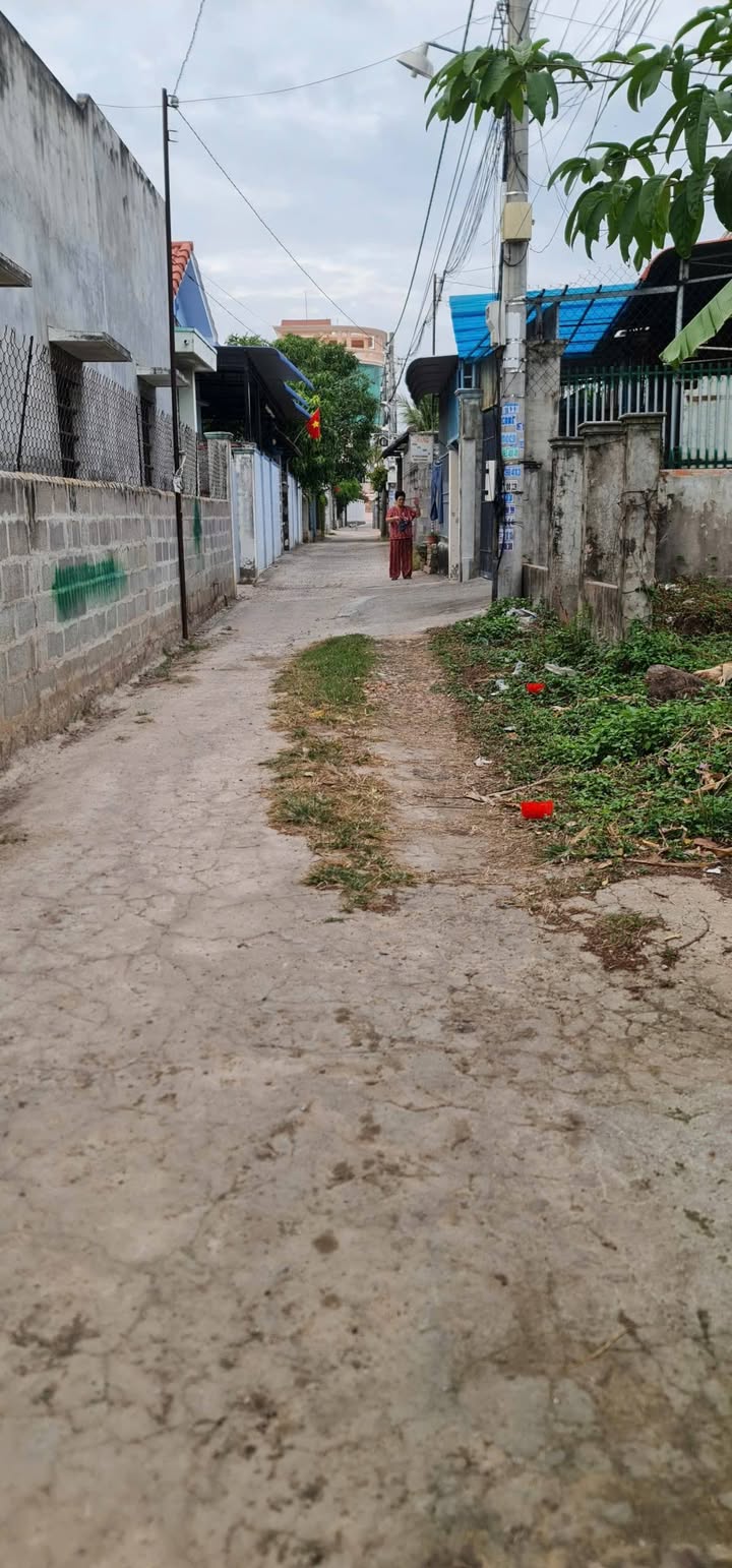 Bán Gấp Đất Nền Lô Góc 165m² Xã Tân Phước, La Gi - Sổ Đỏ Sẵn Sàng