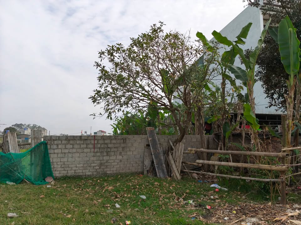 Đất nền Quảng Cư Sầm Sơn 200m² - Tiềm năng tăng giá vượt trội!