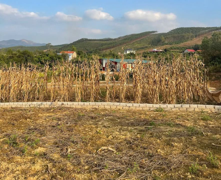 Đất nền Lục Sơn, Lục Nam 678m² - Tiềm năng tăng giá vượt trội!