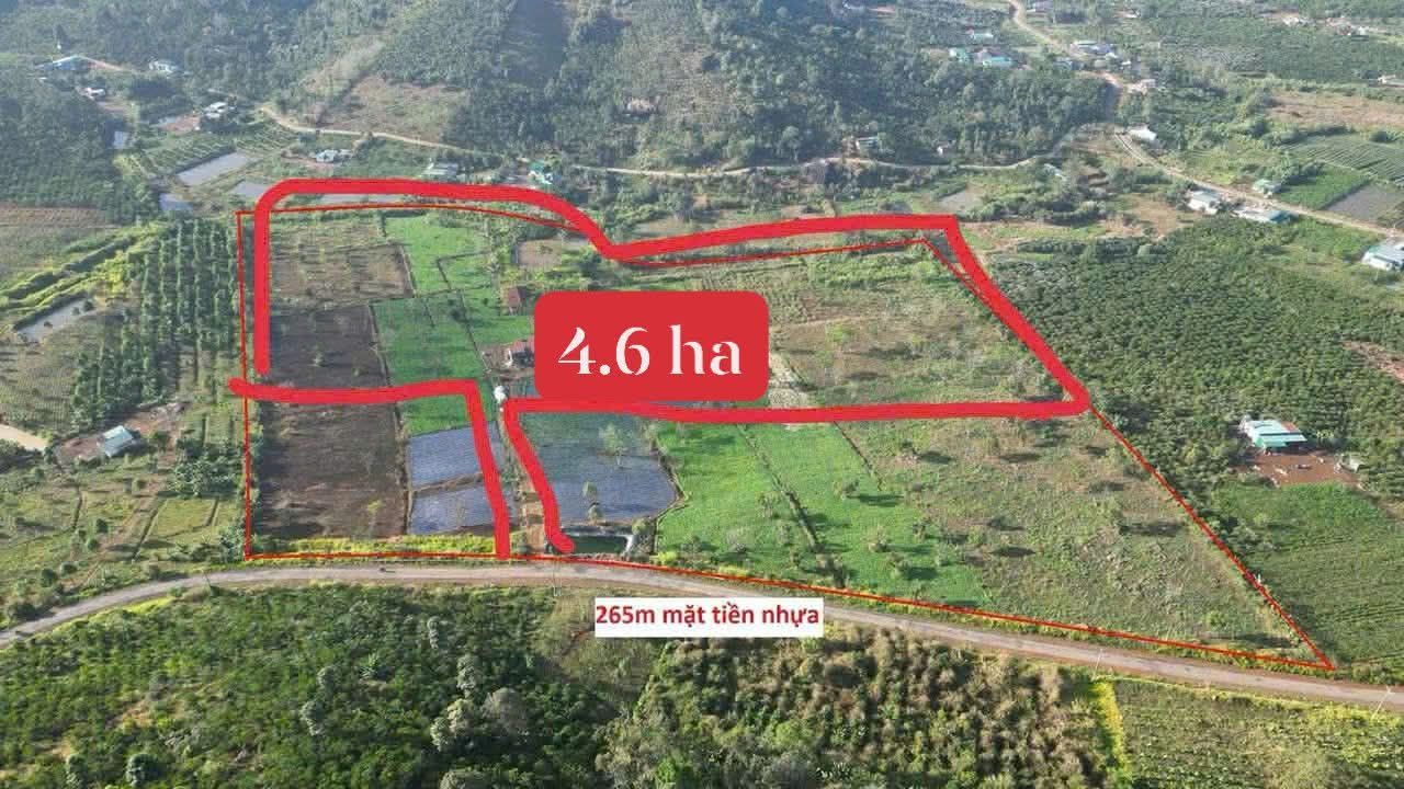 Đất Vườn Bát Tràng 4.6ha - Sinh thái xanh, đầu tư bền vững