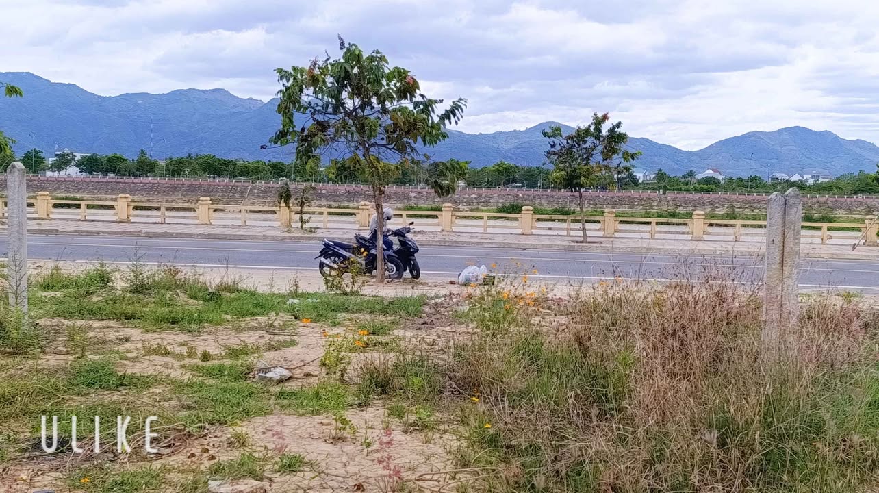 Lô Đất Mặt Tiền Trần Phú Nha Trang 71.1m² - Mặt Tiền Kinh Doanh