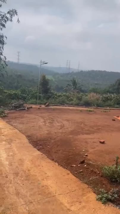 Vườn Cà Phê Gia Lai 3ha giá 8 tỷ - Đầu tư sinh lời