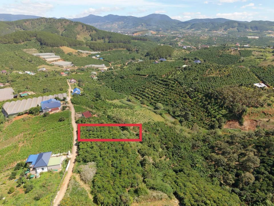 Bán Gần 4 Sào Đất Nông Nghiệp Mặt Tiền 32m Tại Lâm Hà, Lâm Đồng - Sổ Riêng