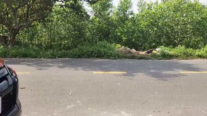 Nhà Vườn Láng Dài Đất Đỏ 411m² - Nghỉ Dưỡng Lý Tưởng Chỉ 4.3 Tỷ!