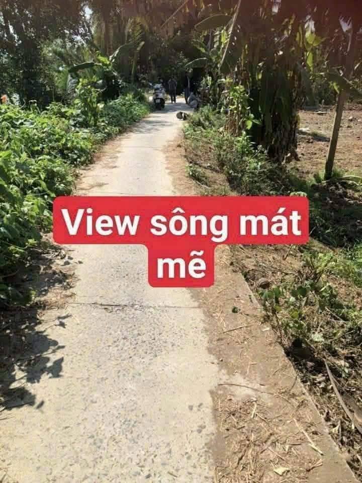 Đất nền Tân Long Hội Mang Thít 175m² - Tiềm năng tăng giá