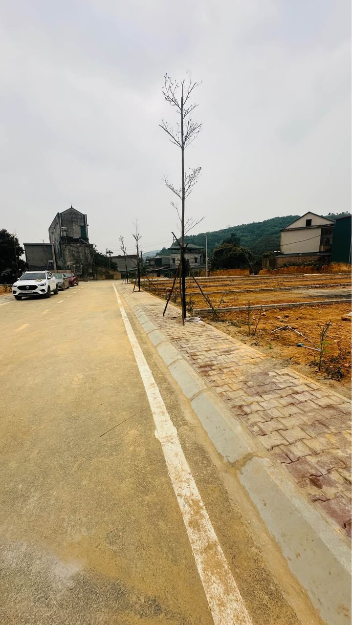 Đất nền Thái Long Tuyên Quang 120m² - Đường to ô tô!