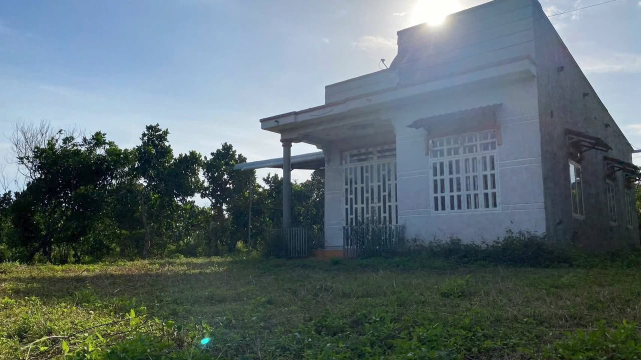 Đất thổ cư 200m² Xuân Tây, Hóc Môn - Vườn trái cây, giá 1.7 tỷ