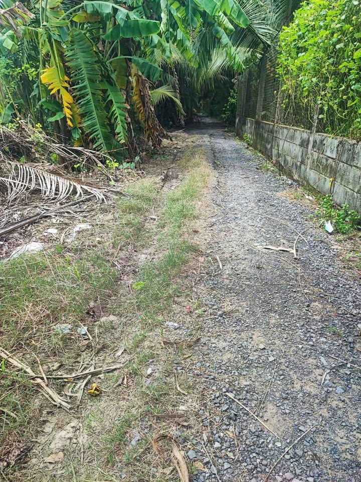 Đất Nền Tam Hiệp, Tiền Giang - 217m² Thổ Cư, Giá Đầu Tư 4xx Triệu