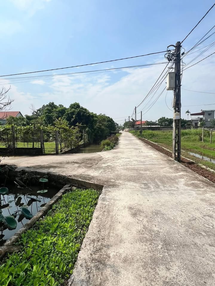 Đất Ninh Giang, Thủy Nguyên 198.5m² Sổ Đỏ - Giá Tốt Đầu Tư