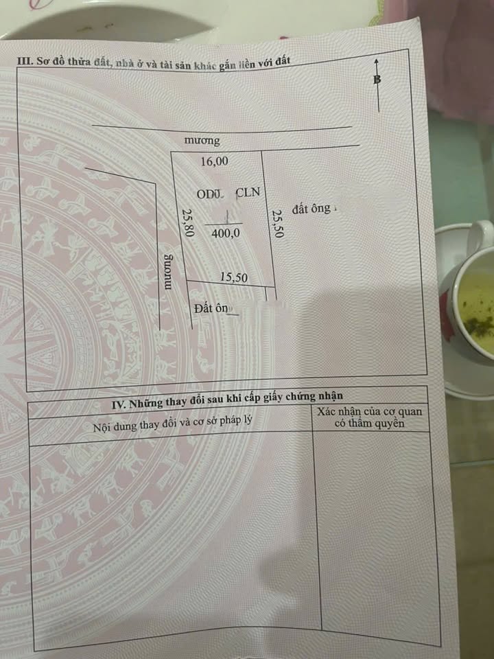 Nhà 400m² 2 Mặt Tiền Hơn 3 Tỷ - Mỏ Chè, Sông Công - Vườn Trái Cây Trĩu Quả